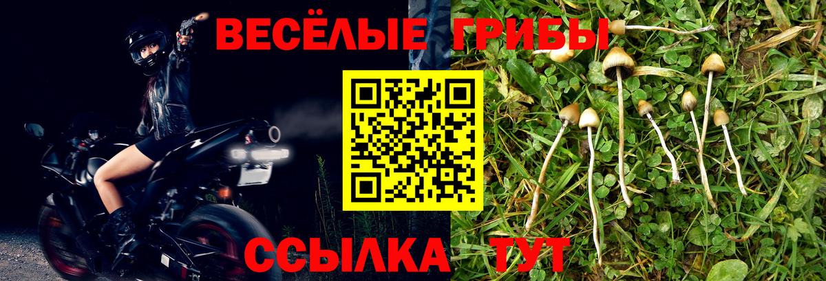 Псилоцибиновые грибы мухоморы Топки